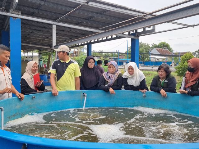 Pelatihan Budidaya Ikan 20240703